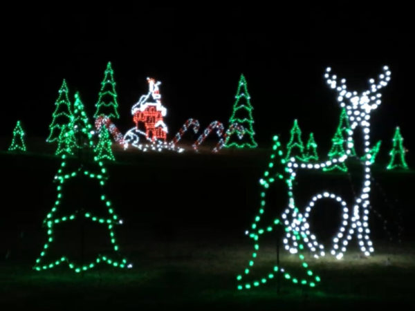 Stag and Christmas Trees lighted scene