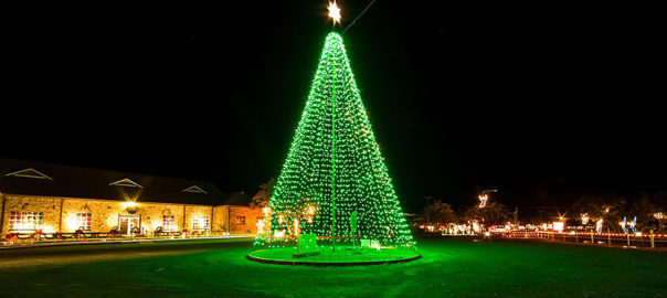Cuero's Christmas in the Park tree wide shot